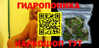 гидропоника Ливны